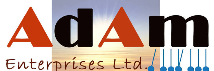 Adam Enterprises (India) Private Limited Logo